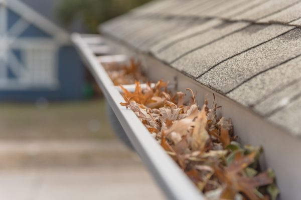 Leaf Barrier Installation in Fayetteville